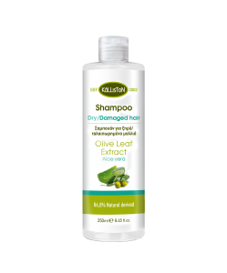 Kalliston Shampoo für trockenes / strapaziertes Haar...